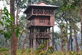 Tower Night Stay Package Nepal – Sleep Inside the Jungle & Watch Wildlife After Dark - Hotel Crown Himalayas Blog