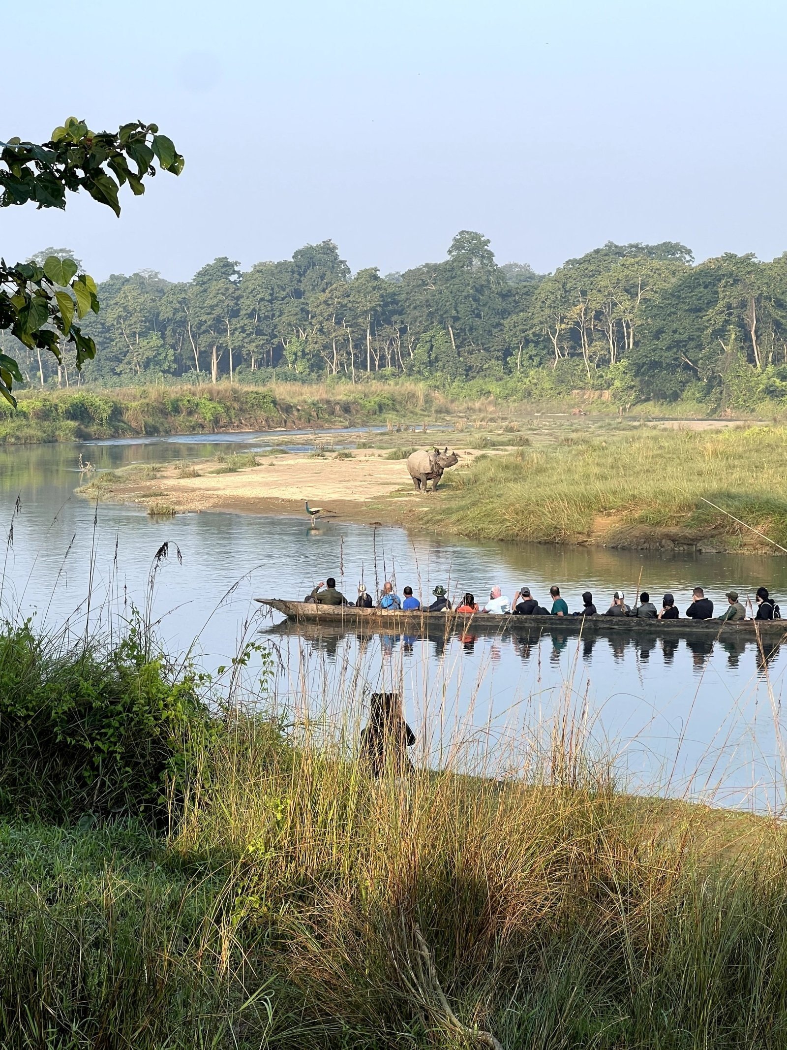 2 Nights 3 Days Chitwan National Park Package – Canoe Ride, Jeep Safari & Jungle Walk - Hotel Crown Himalayas Blog